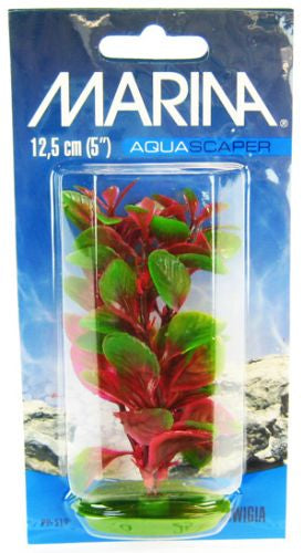 Marina Aquascaper Red Ludwigia Plant