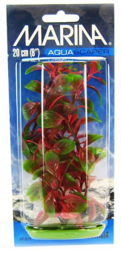 Marina Aquascaper Red Ludwigia Plant