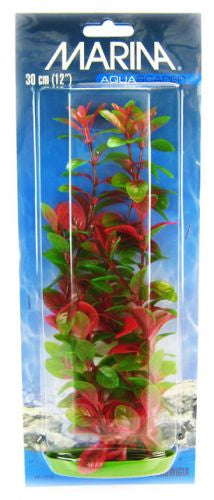 Marina Aquascaper Red Ludwigia Plant