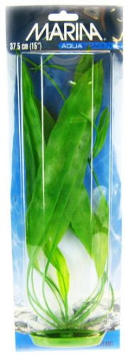 Marina Amazon Sword Plant for Aquariums