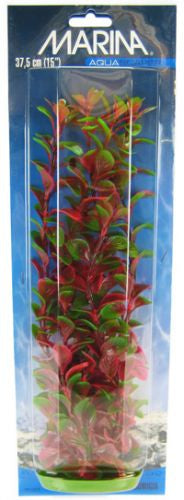 Marina Aquascaper Red Ludwigia Plant