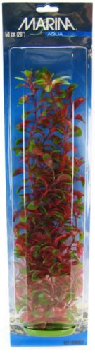 Marina Aquascaper Red Ludwigia Plant