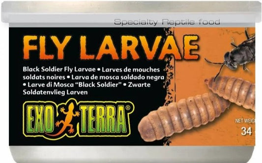 Exo Terra Canned Black Soldier Fly Larvae Specialty Reptile Food