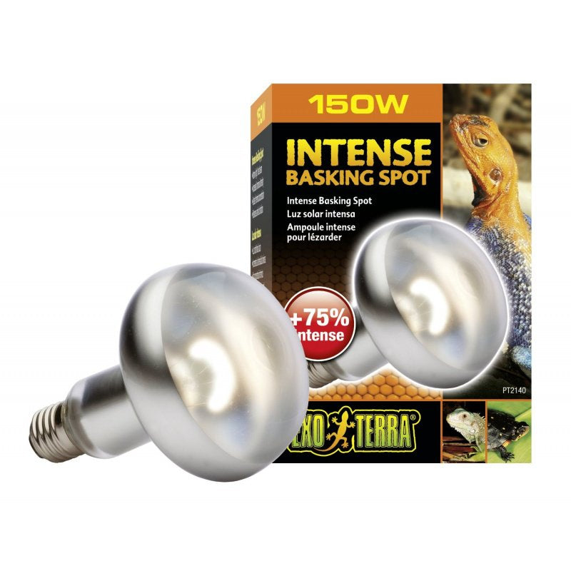 Exo Terra Intense Basking Spot Lamp