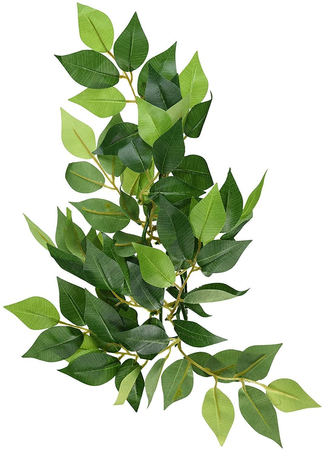 Exo Terra Silk Ficus Forest Plant