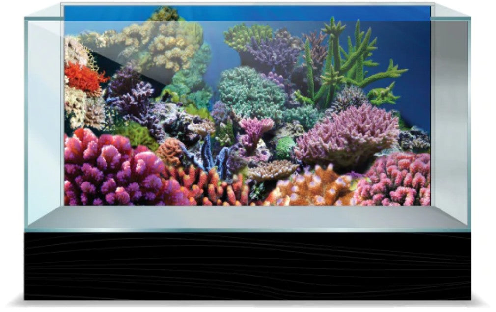 Aquatic Creations Coral Static Cling Background for Aquariums