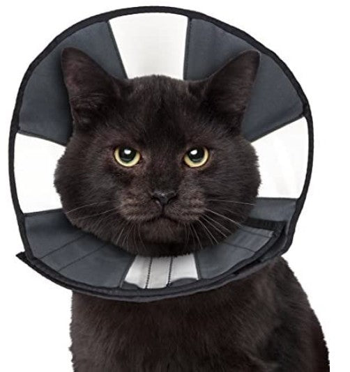 ZenPet Zen Cone Soft Recovery Collar