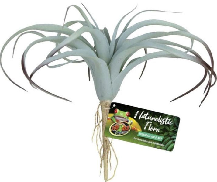 Zoo Med Naturalistic Flora Tillandsia Air Terrarium Plant