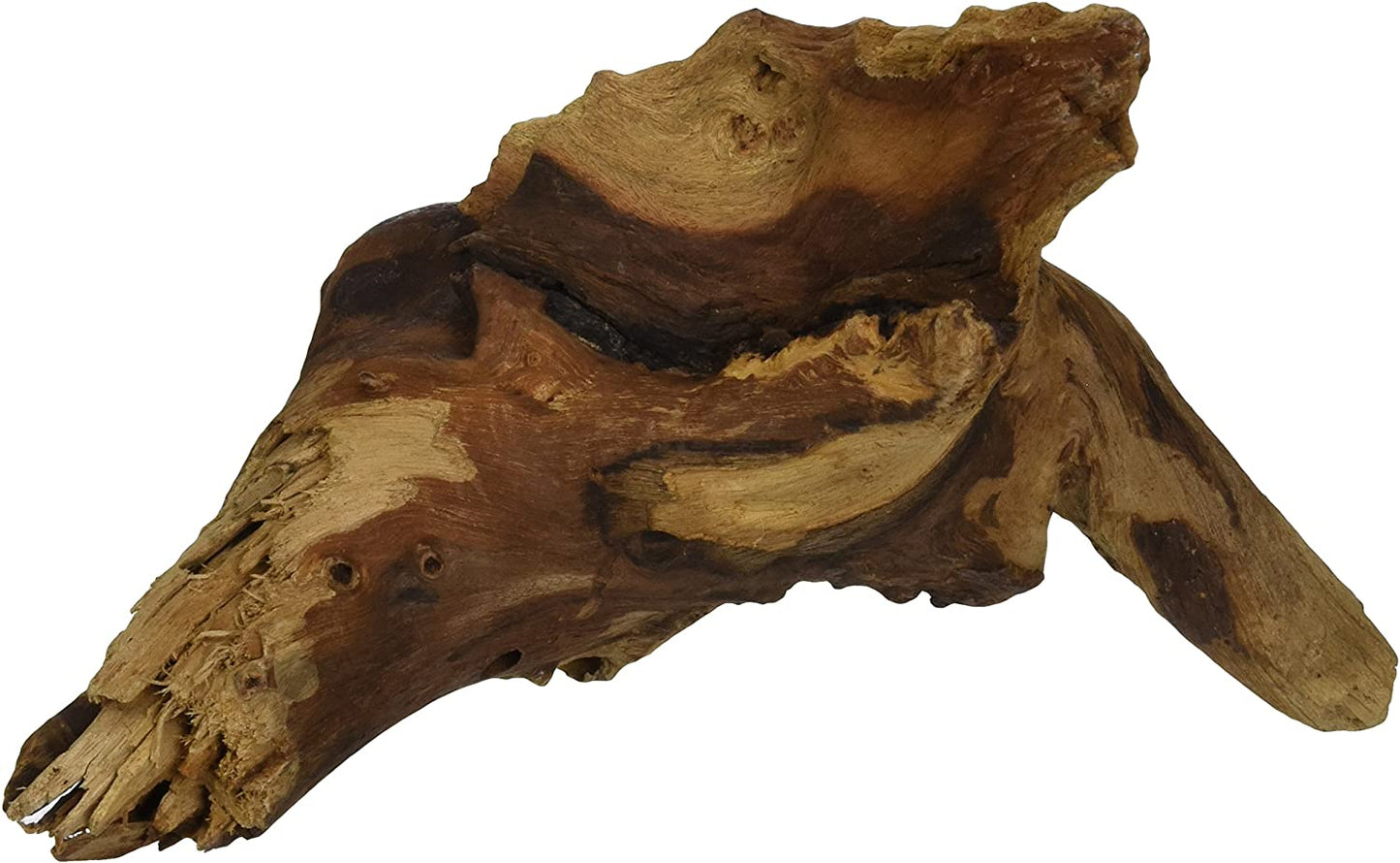 Zoo Med Natural Mopani Wood for Aquariums or Terrariums