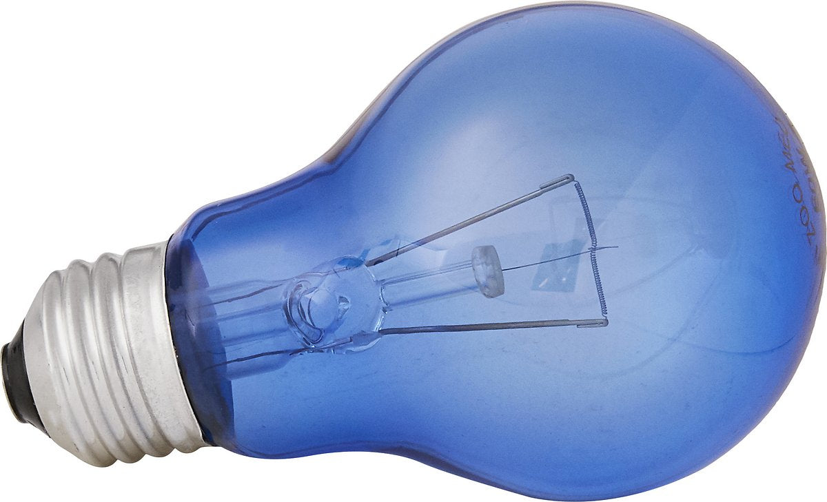 Zoo Med Daylight Blue Reptile Bulb