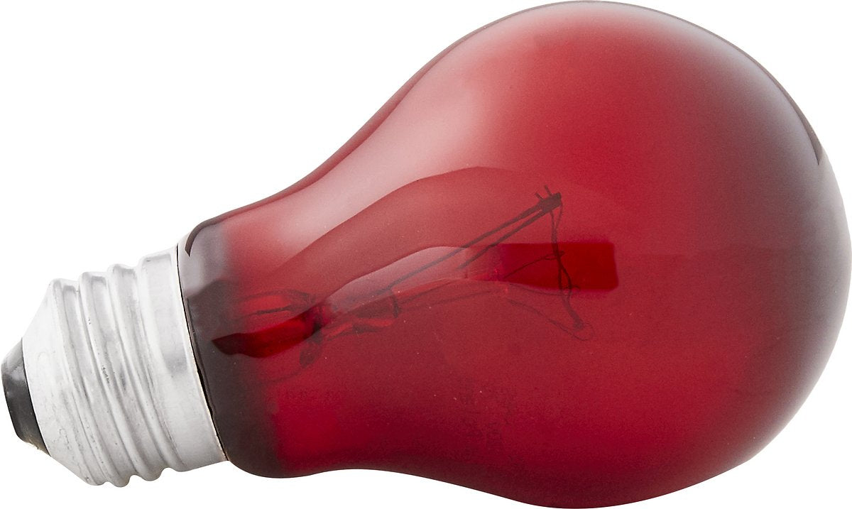 Zoo Med Nightlight Red Reptile Bulb